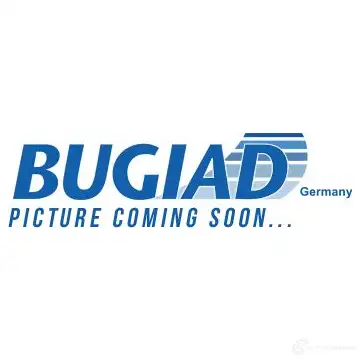 Патрубок интеркулера BUGIAD 3O H2TW1 82718 1438574104 изображение 0