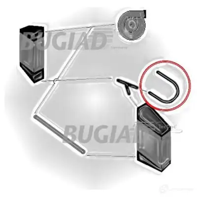 Патрубок интеркулера BUGIAD FQE CG 4043193866479 1502514 86647 - Изображение 1