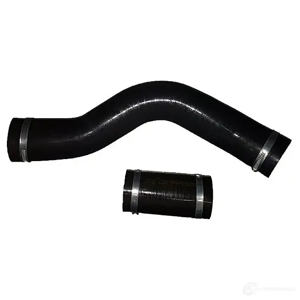 Патрубок интеркулера BUGIAD LC A3DW2 1216677247 88557 4043193885579