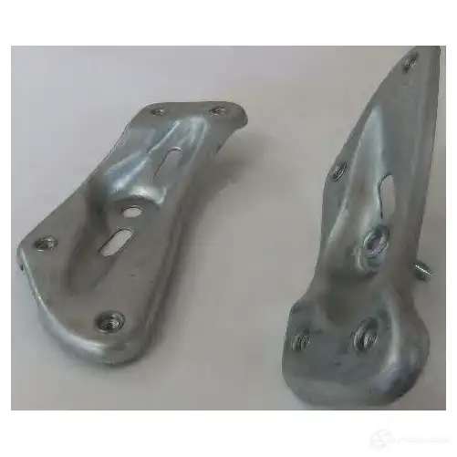 Кронштейн крепления крыла BUGIAD bsp21990 UGD QN7 1423401054