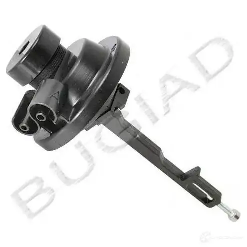 Выдвижной элемент карбюратора BUGIAD bsp21467 EOTZN T9 1505025
