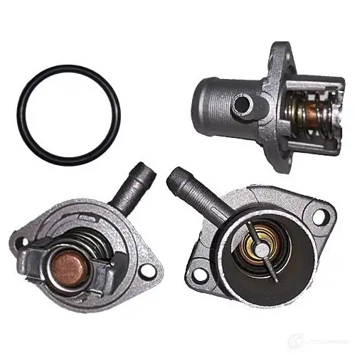 Корпус термостата BUGIAD X05 0ICR bmc19227 1437337941 изображение 0