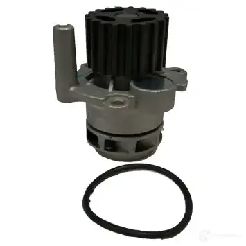 Водяной насос, помпа BUGIAD S1 HVXWI bsp20038 1503996 4043193200389