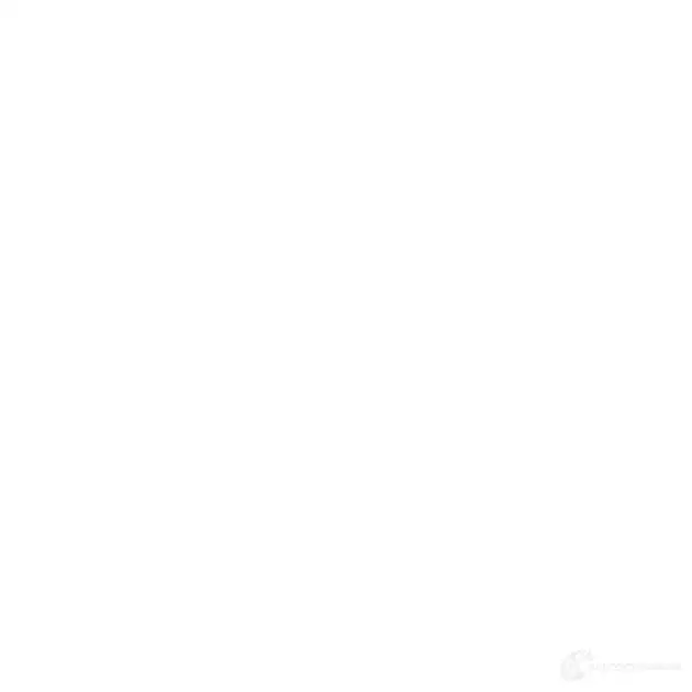 Рулевой наконечник DYS 1424369339 8435457145127 F5J0P 17 2223395 изображение 0