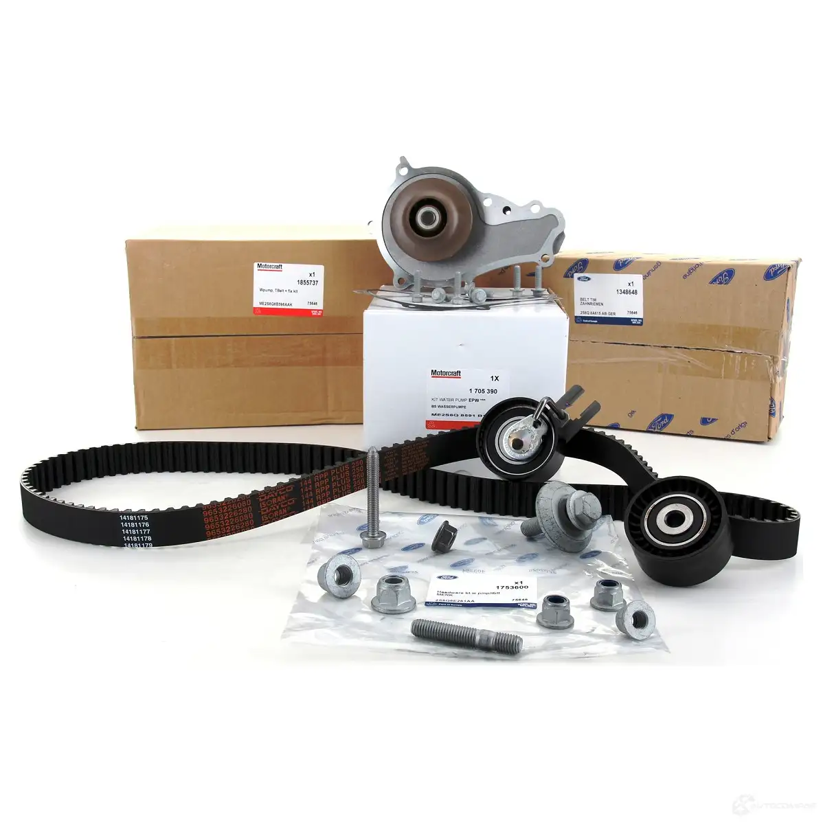 Комплект ремня грм с водяным насосом FORD 2008679 DD5 OHJX 23140196