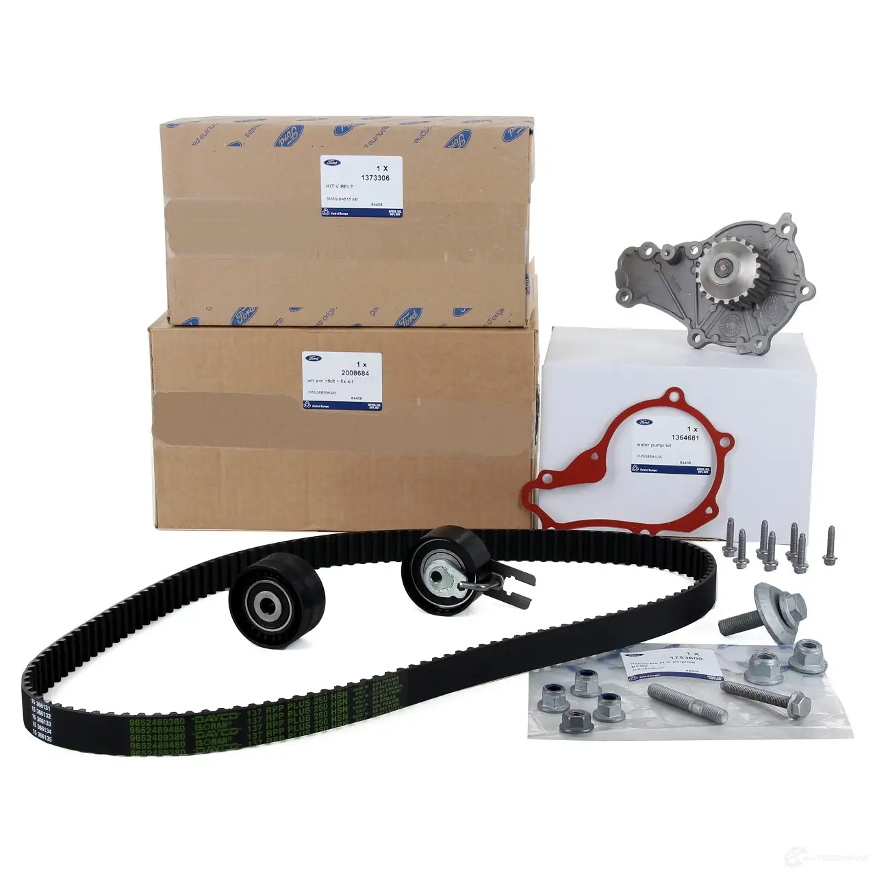 Оригинальный комплект ремня ГРМ с водяным насосом FIESTA V VI FOCUS II 1,6 TDCi FORD 25589402 GBGRW R 2008684 - Изображение 1