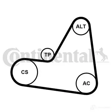 Приводной ремень в комплекте CONTITECH 1193540389 6P K1680 D62YYAP 6pk1680k1 изображение 1