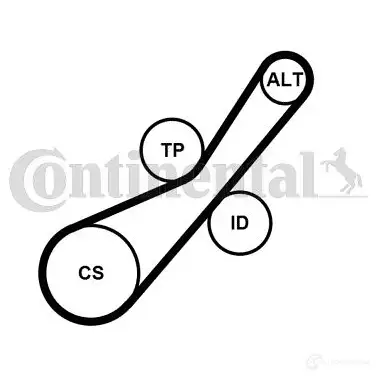 Приводной ремень в комплекте CONTITECH 6pk800k1 62LIC 6PK8 00 376987 изображение 1