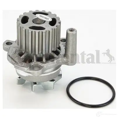 Водяной насос, помпа CONTITECH V65 432 379609 HGNJ8S wp6003