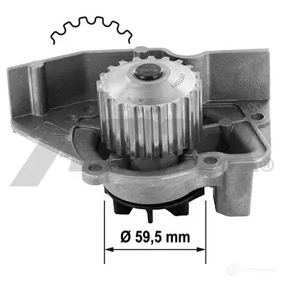 Водяной насос, помпа AIRTEX P SETC 8435013806486 1564 1874367 изображение 0