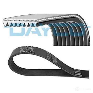 Приводной ремень поликлиновой DAYCO 70LXW6P 1193595245 8x128 9 8PK1289HD