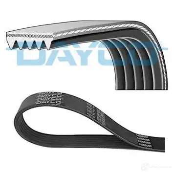 Приводной ремень, поликлиновой DAYCO 1423231217 FQL C1 8021787541526 5pk1013hd