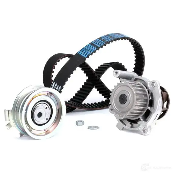 Комплект ремня ГРМ с помпой DAYCO KTBWP2530 8021787983074 554249 U7WK ED6 изображение 3
