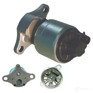 Клапан EGR DELPHI M BSGI8 EG10255-40L1 6131540 5012759349786