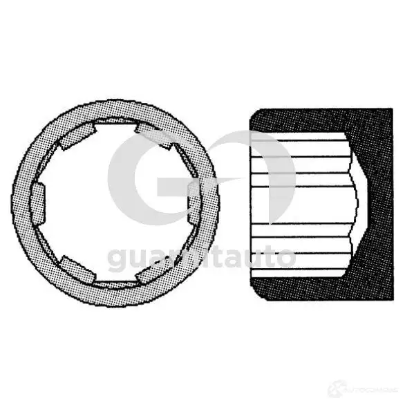 Болты ГБЦ, головки блока цилиндров GUARNIT 1424877575 7775920 (10x) 7010031010 56 07 961 (10x) изображение 0