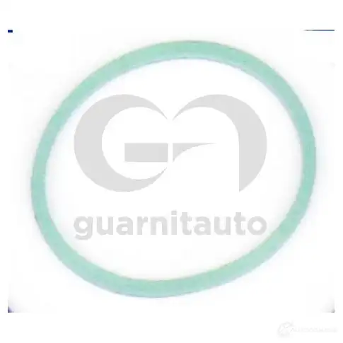 Прокладка впускного коллектора GUARNIT 1424655897 1847658300 Z3QF5 XJ изображение 0