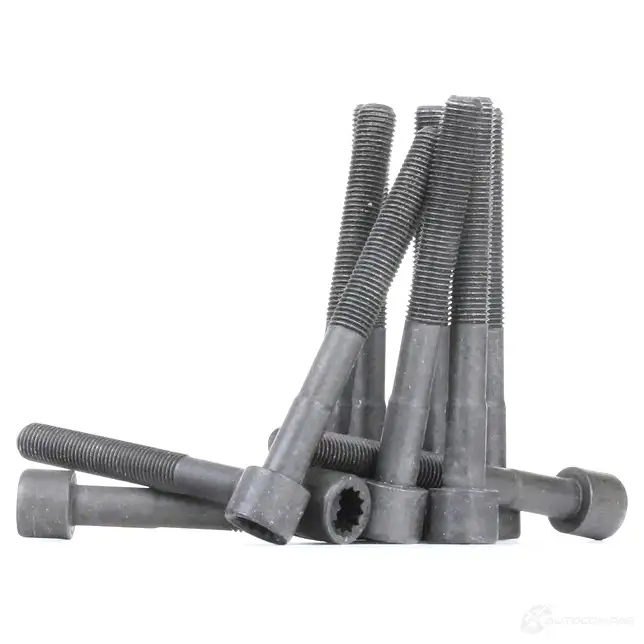 Комплект болтов ГБЦ AJUSA 81013300 1374251 OAE 5ROQ 8427769393273 - Изображение 1