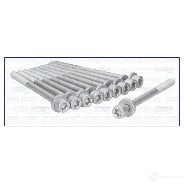 Комплект болтов ГБЦ AJUSA 8427769306679 VXEH9 R 81003700 1374175