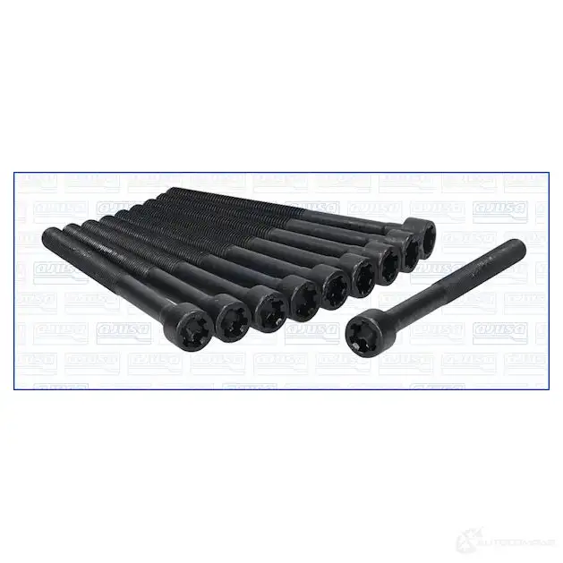 Комплект болтов ГБЦ AJUSA 81007300 1374204 FMW 9XY 8427769308550