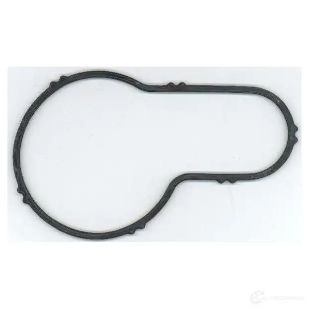 Прокладка термостата ELRING R6 AF44 1425075672 4041248814871 754.871