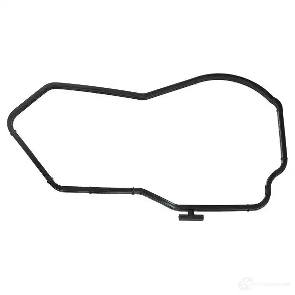 Прокладка водяного насоса (помпы) ELRING G J6LPN 570.290 112206 4041248441909
