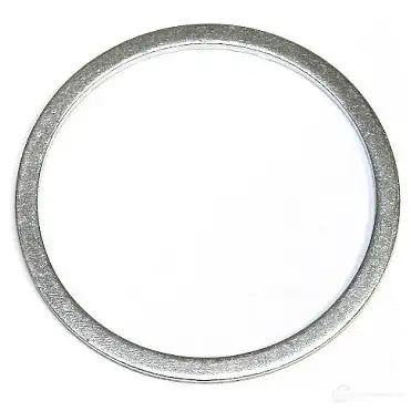 Уплотнительное кольцо ELRING 258.202 4041248017340 RIE WDT 107969