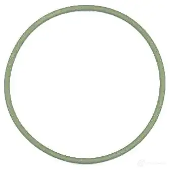 Уплотнительное кольцо ELRING 109938 413.500 AE GII 4041248692004