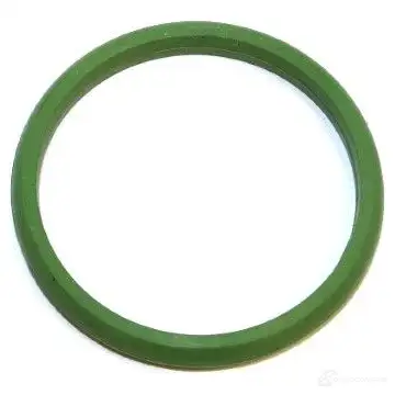 Уплотнительное кольцо ELRING 2 9W33E 1424494111 4041248785546 262.620