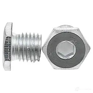 Сливная пробка ELRING 587.230 1424932995 A8 U5YWQ 4041248771082