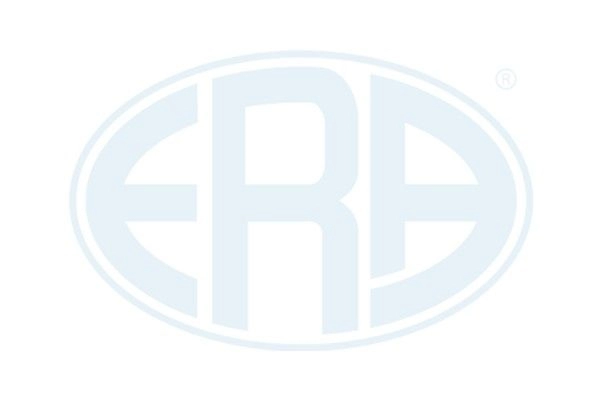 Щетки генератора ERA 215923 YM5W FE 1943649