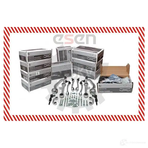 Ремкомплект рычага подвески ESEN SKV 4391921 04skv100 MA V3W 5901947311301 изображение 4