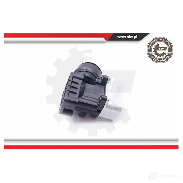 Масляный радиатор двигателя ESEN SKV 31skv054 1425013014 5901947367209 U HXMT - Изображение 1