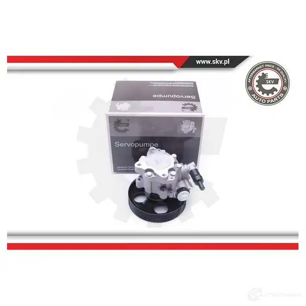 Гидроусилитель, насос гур ESEN SKV 9 GLI2 10skv240 1437422543 - Изображение 1