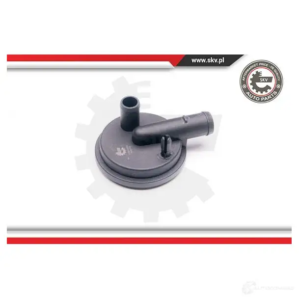 Маслоотделитель ESEN SKV 1276437887 31skv009 T2K5 PZC 5901947345009 изображение 0