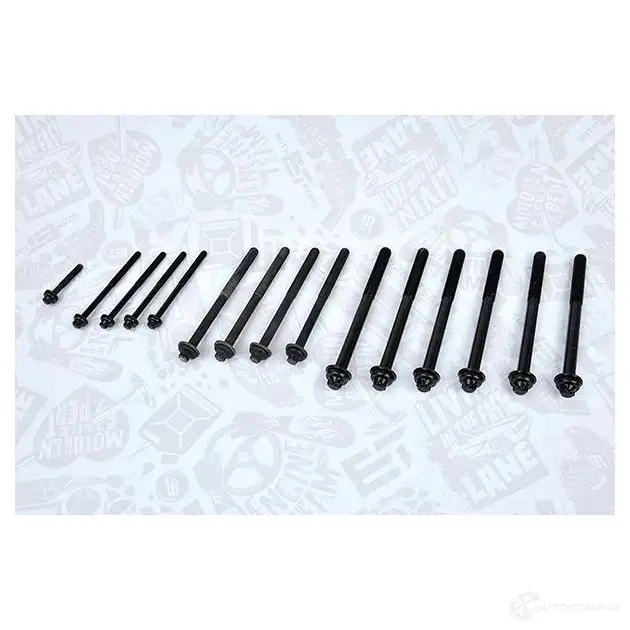 Болты ГБЦ, головки блока цилиндров ET ENGINETEAM bs0018 W 9KIT 1424732840 8592779024582 изображение 5