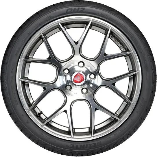 Delinte Dh2 205 55 R16 Купить