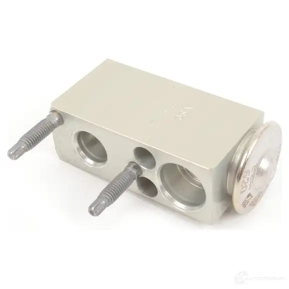 Форсунка расширительного клапана MERCEDES-BENZ 21919628 EJ Q386 A2128300284 - Изображение 1