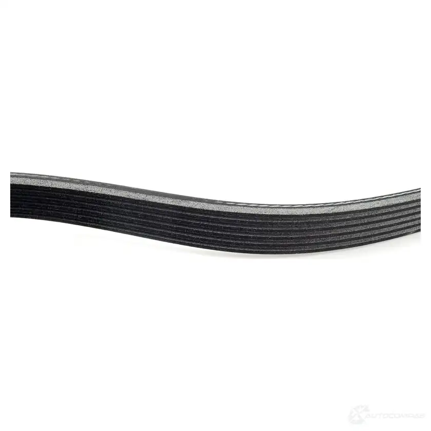 Приводной ремень, поликлиновой MERCEDES-BENZ F 96ZYMH A 001 993 83 96 23992942 изображение 1