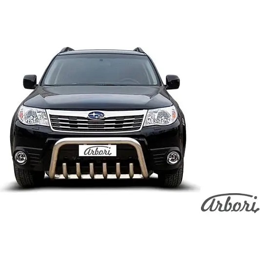 Кенгурятник низкий с защитой картера нержавеющая сталь Arbori FF1 5L ZLWWY 1437093419 afzdasf01 - Изображение 1