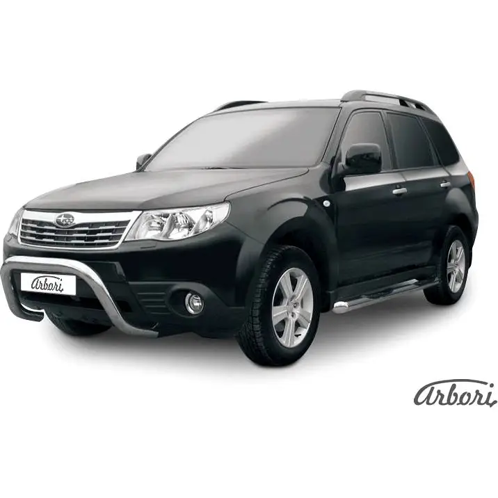 Кенгурятник низкий рама нержавеющая сталь Arbori 1437093341 2YP9OV afzdasf02 KUMDC 6