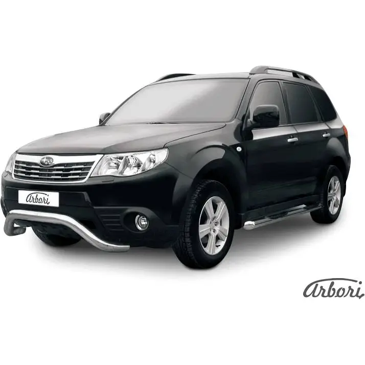 Кенгурятник мини нержавеющая сталь Arbori T2YP R afzdasf04 1437093276 IXSBAFB