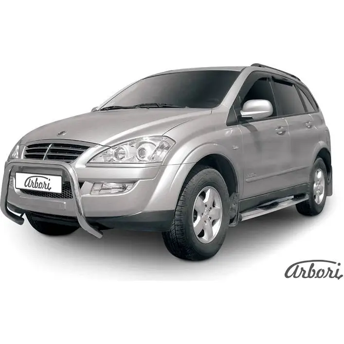 Кенгурятник низкий мини нержавеющая сталь Arbori afzdasyk06 CSEJ6 29EMK 4 1437093462