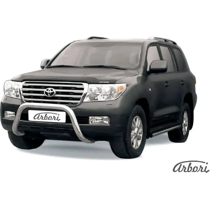 Кенгурятник низкий мини нержавеющая сталь Arbori afzdatlc209 0J9F 5 KIQFC 1437093322