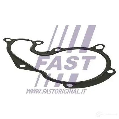 Прокладка водяного насоса, помпы FAST ft57401 K6V 20F 1438826364