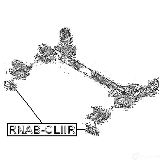 Сайлентблок задней балки FEBEST X0 T3OE rnabcliir 116331337 4056111056791 изображение 1