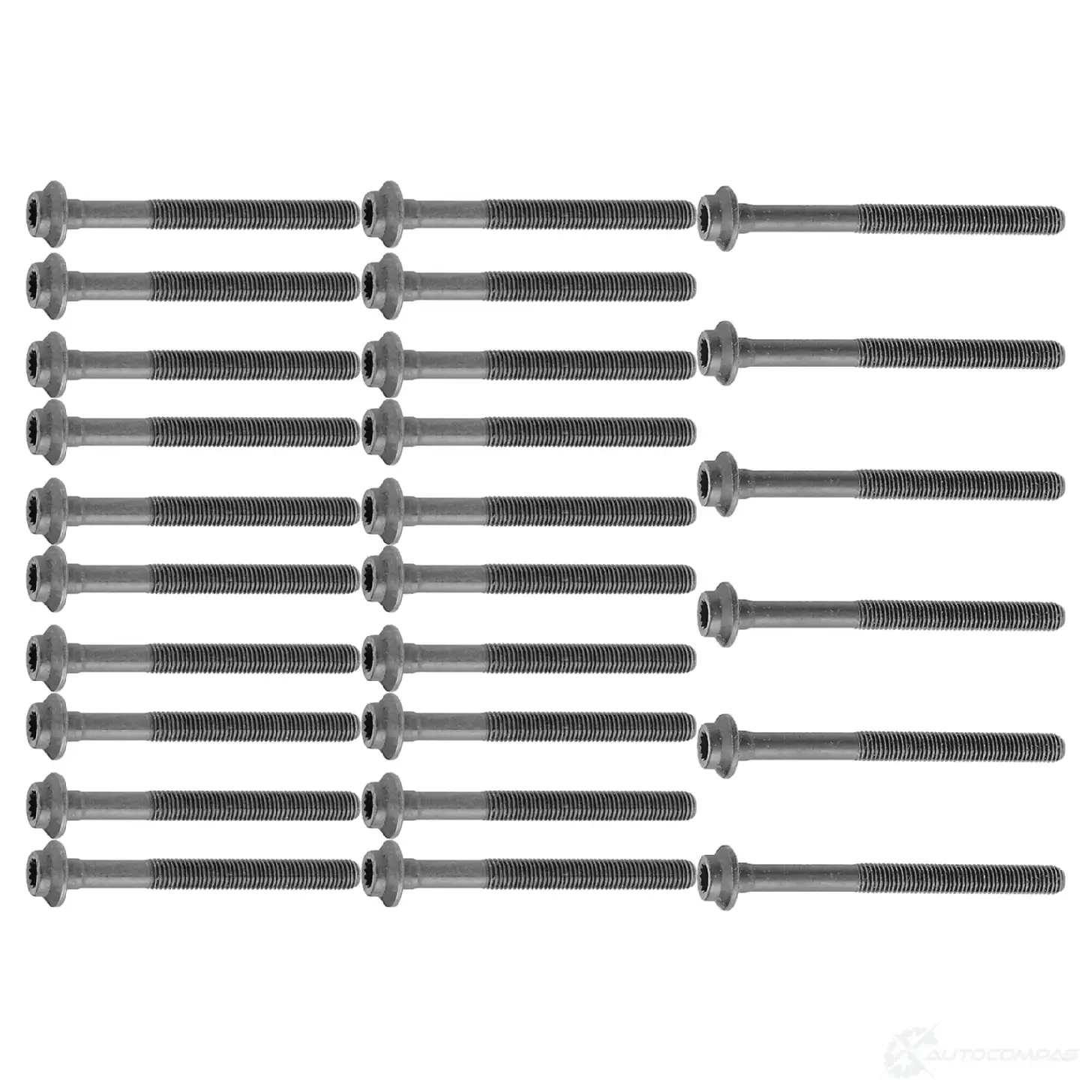 Комплект болтов ГБЦ FEBI BILSTEIN 1062195 10237 1WS GZ3H 4027816102373