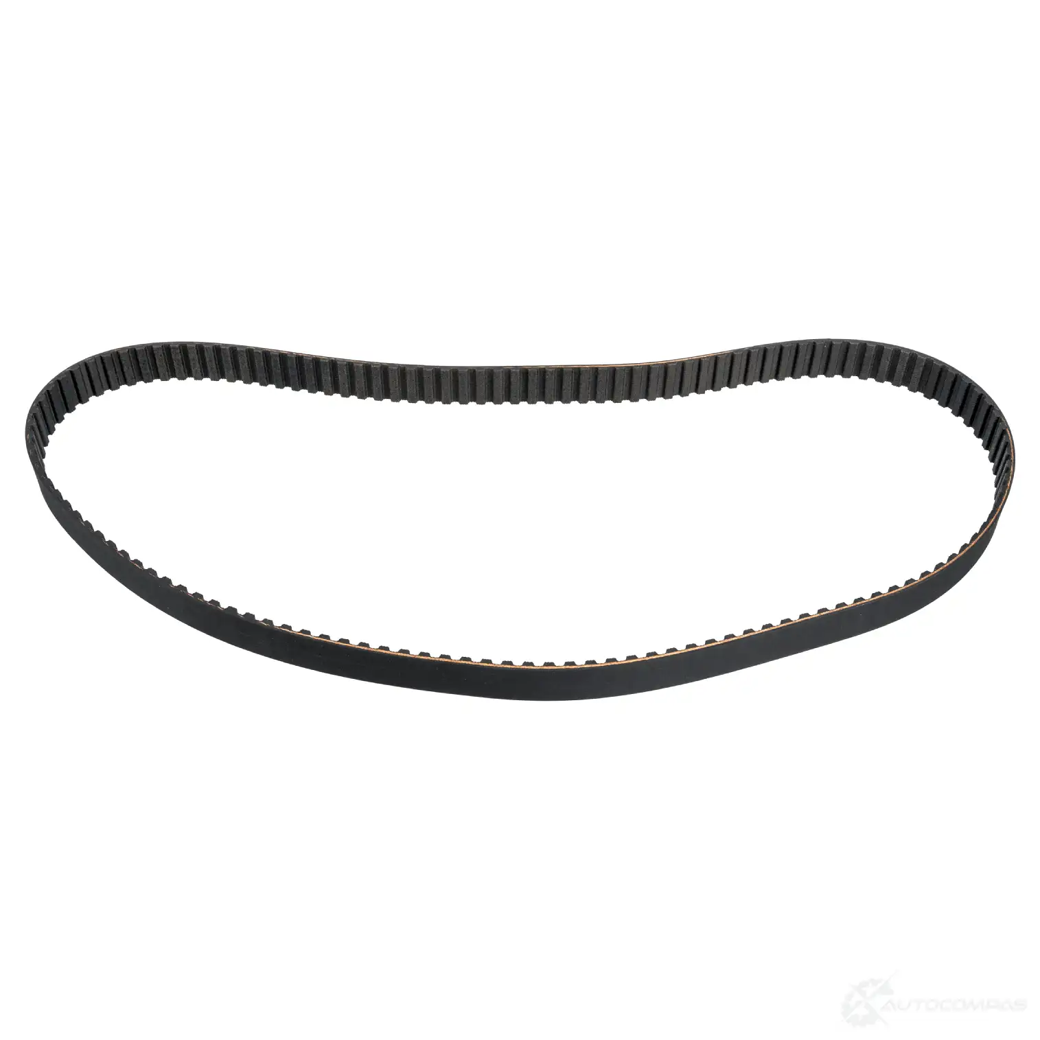 Ремень ГРМ FEBI BILSTEIN 10951 M IIXN 4027816109518 1062704