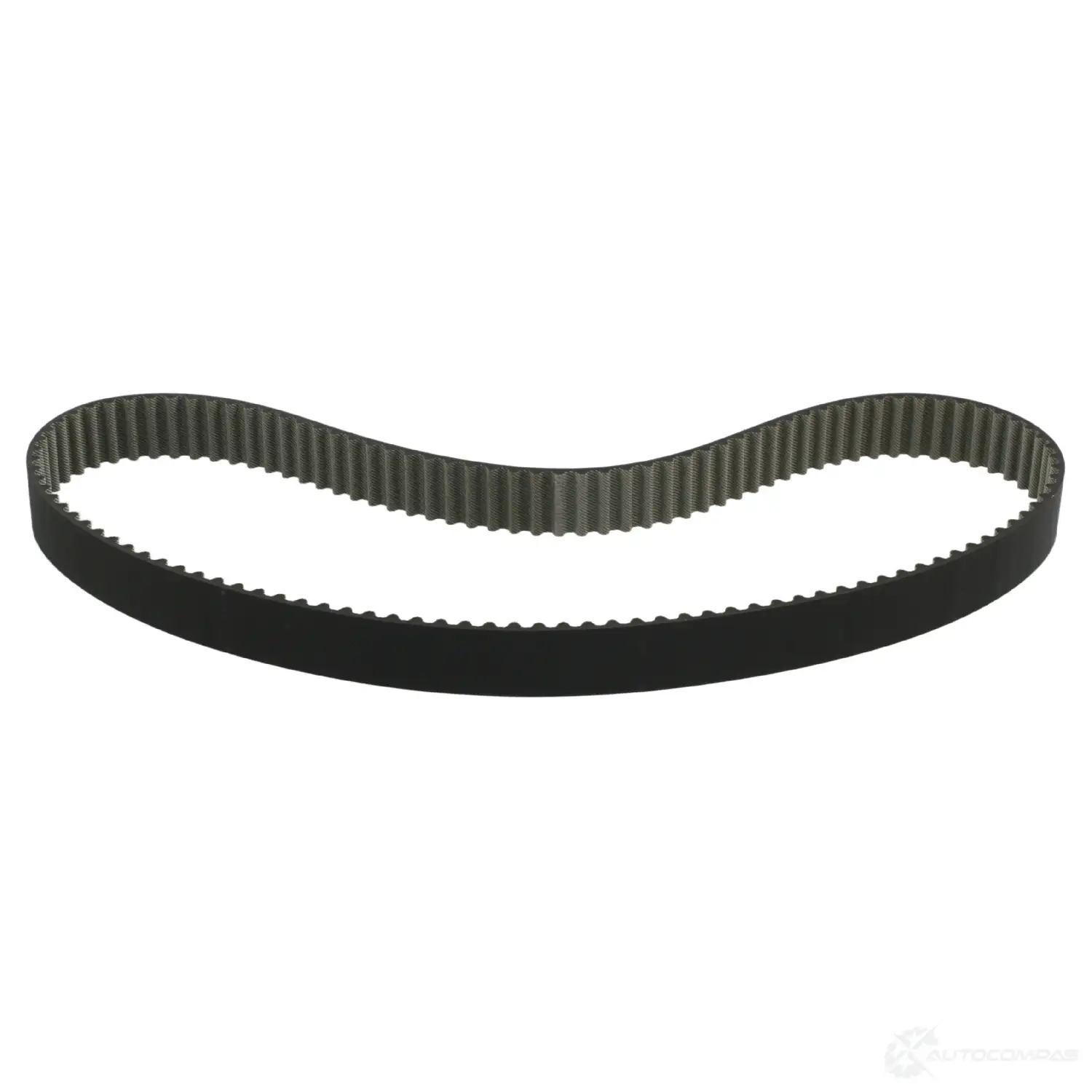 Ремень ГРМ FEBI BILSTEIN 19542 CSA8 LE 4027816195429 1068670