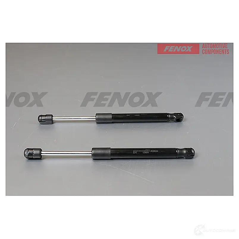 Амортизатор багажника FENOX A906031 NJ0 XEFF 1440005488 изображение 0