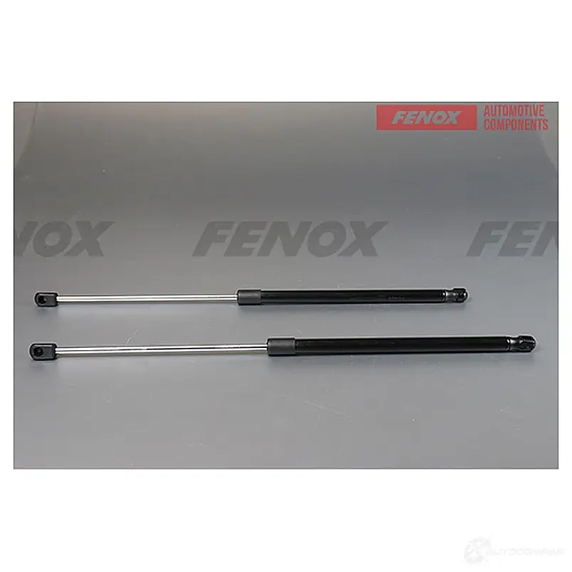 Амортизатор багажника FENOX 1440005489 REDS AN1 A906032 изображение 0